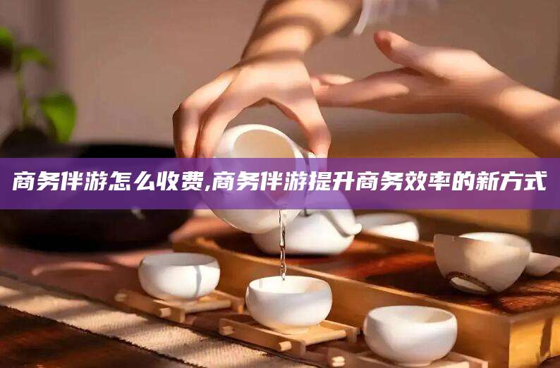 池州商务伴游怎么收费,商务伴游提升商务效率的新方式