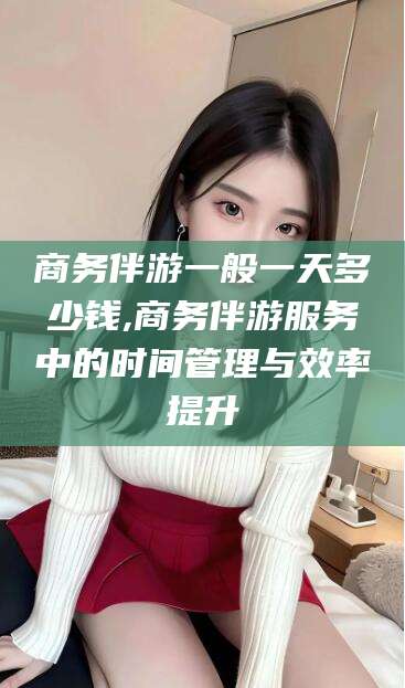 池州商务伴游一般一天多少钱,商务伴游服务中的时间管理与效率提升
